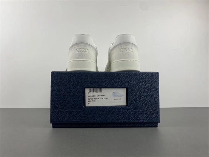 smartchoice D10r x2 1076