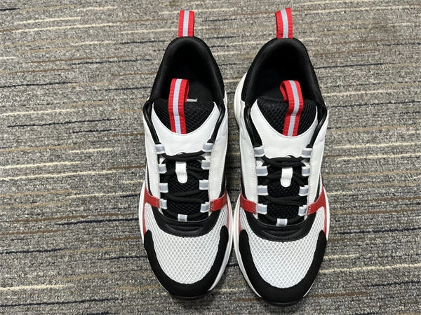 Dior B WellDesigned 1311