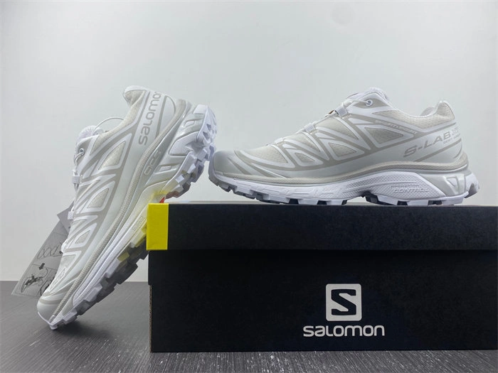 Salomon XT-6 White Lunar Rock Snug 5959